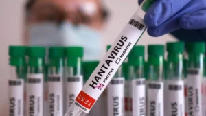 hantavirus-di-jakarta-dinkes-dki-tekankan-pentingnya-sanitasi